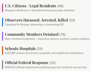 !Sample screenshot of the events timeline on iceagainstamericans.com